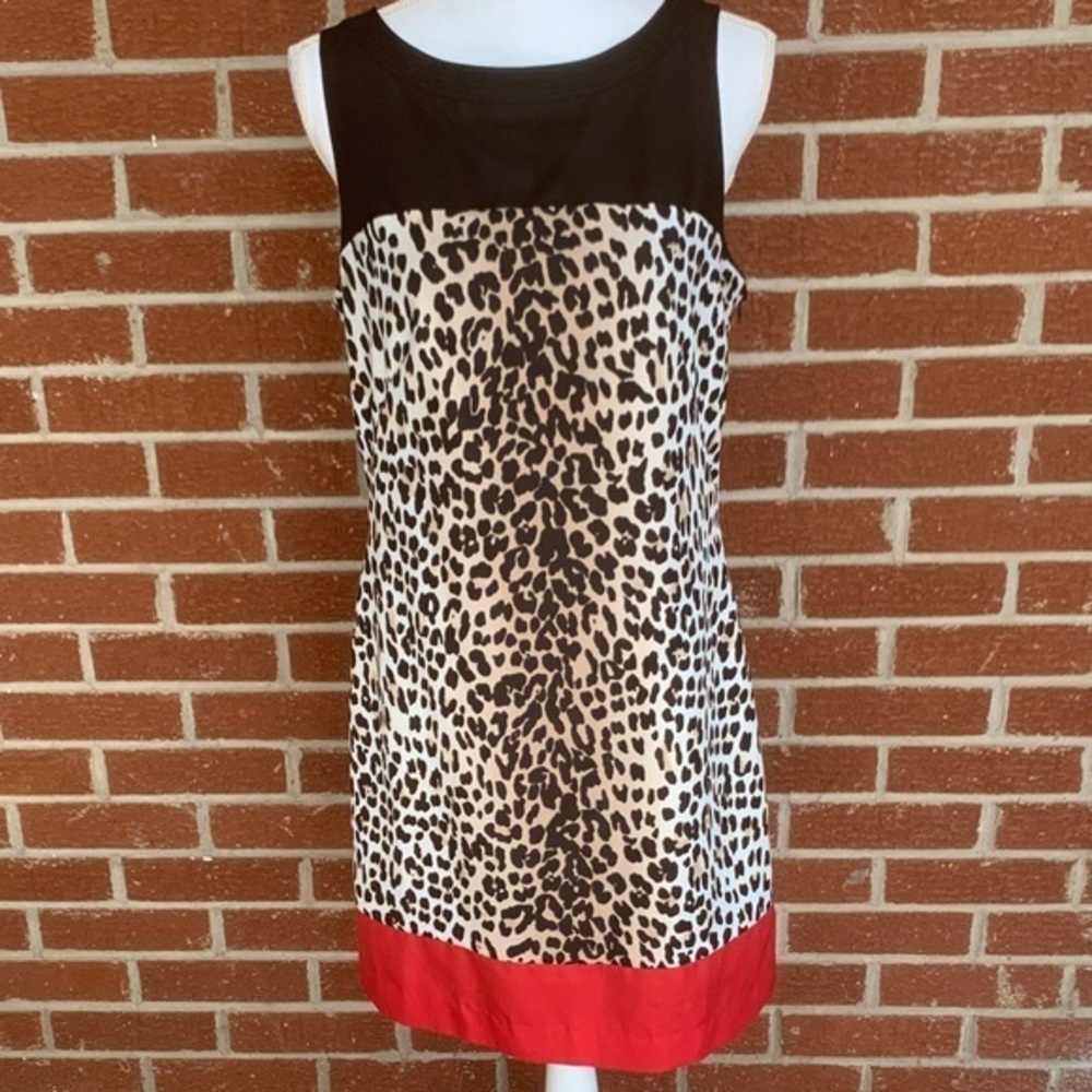 Leopard print White House Black Market dress